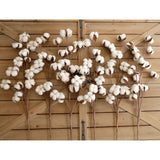 Cotton Stems Decor Branches, Cotton Flowers Plants For Decorations, Dried Flowers For Vase, 6 Pcs-31 Inches Tall - 12 Bolls Per Stem