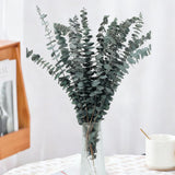 18Pcs Dried Eucalyptus Stems, 17" Real Preserved Eucalyptus Bouquet For Wedding, Home Decor, Farmhouse, Diy Spring Decor, Bathroom Decor, Dried Flowers Bouquet