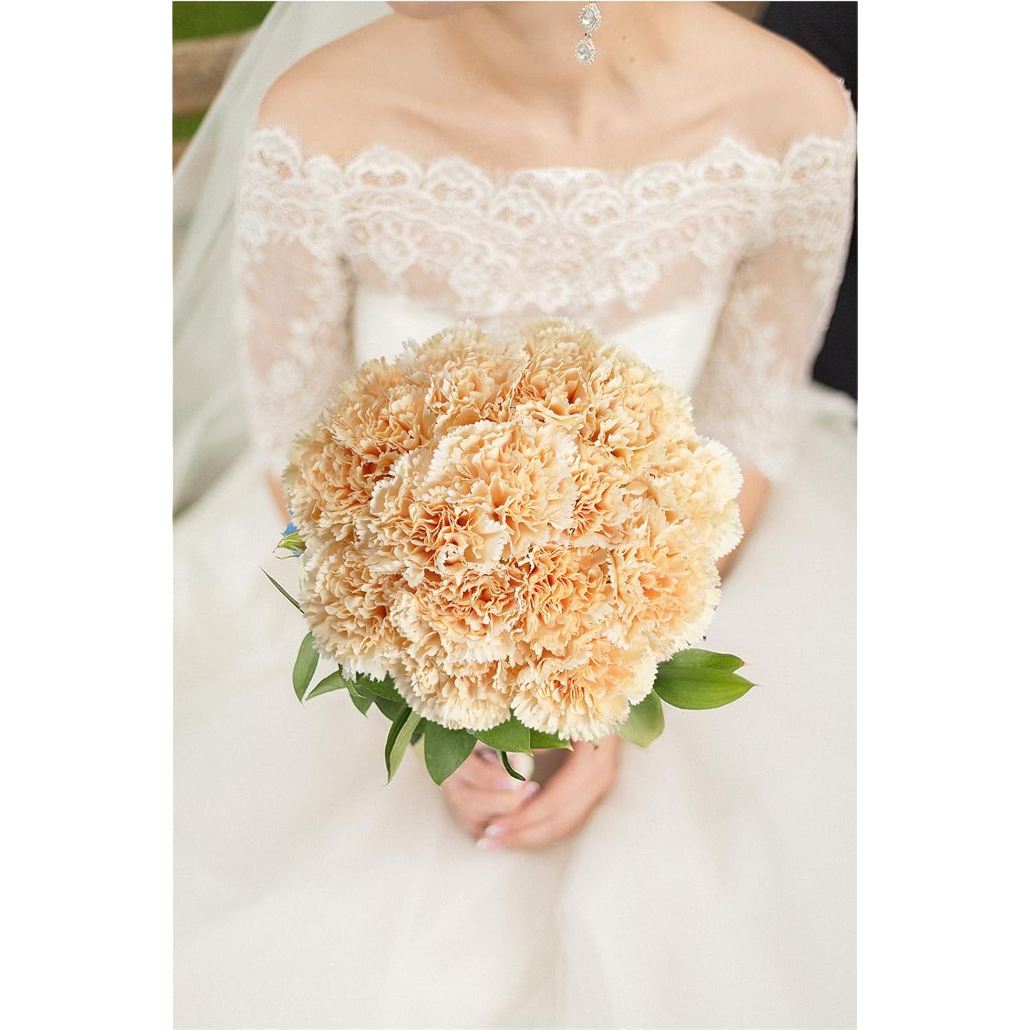 15Pcs Carnations Artificial Flowers Champagne Silk Carnation 20.47" Long Stem Fake Carnations Flowers For Weddings, Diy Crafts,Floral Arrangements Bridal Shower Home Decor(Champagne)