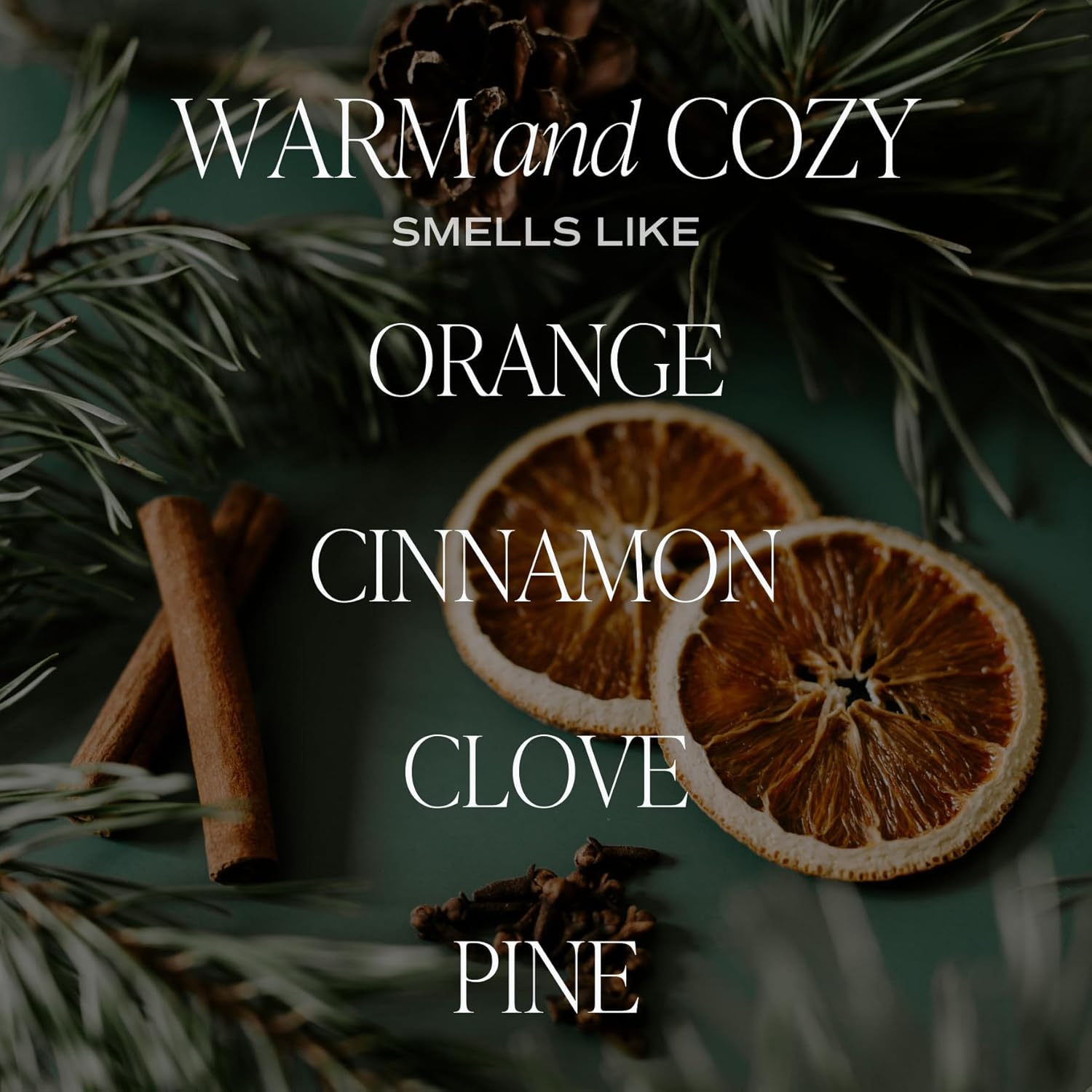 Warm And Cozy Soy Candle - Orange Peel, Cinnamon, Ginger And Clove Scented Candles For Home - 9Oz Amber Jar + Black Lid, 40+ Hour Burn Time, Made In The Usa