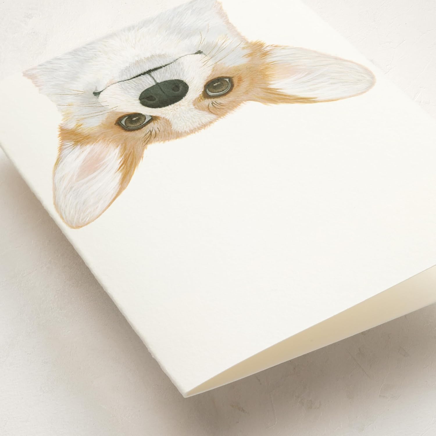 Corgi Dog Greeting Cards – 5 Pack Of Folded 5X7 Blank Greeting Cards On Paper With Matching Envelopes | All Occasion Stationery Set For Valentine'S, Birthdays, Thank You, Congratulations Notes