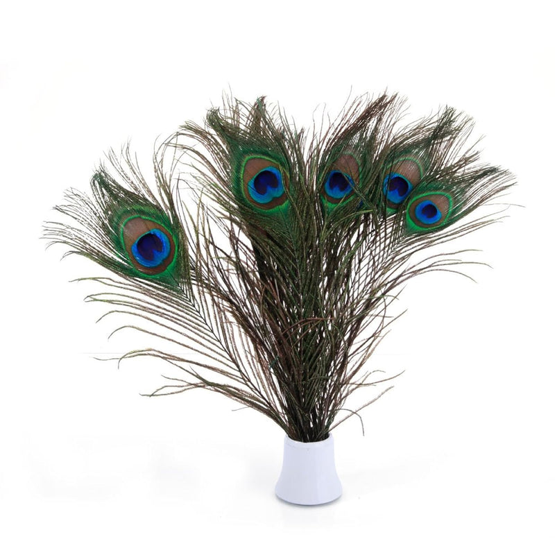 Featured Real Natural Peacock Feathers Bulk 10-12 Inches (25-30Cm) Gre