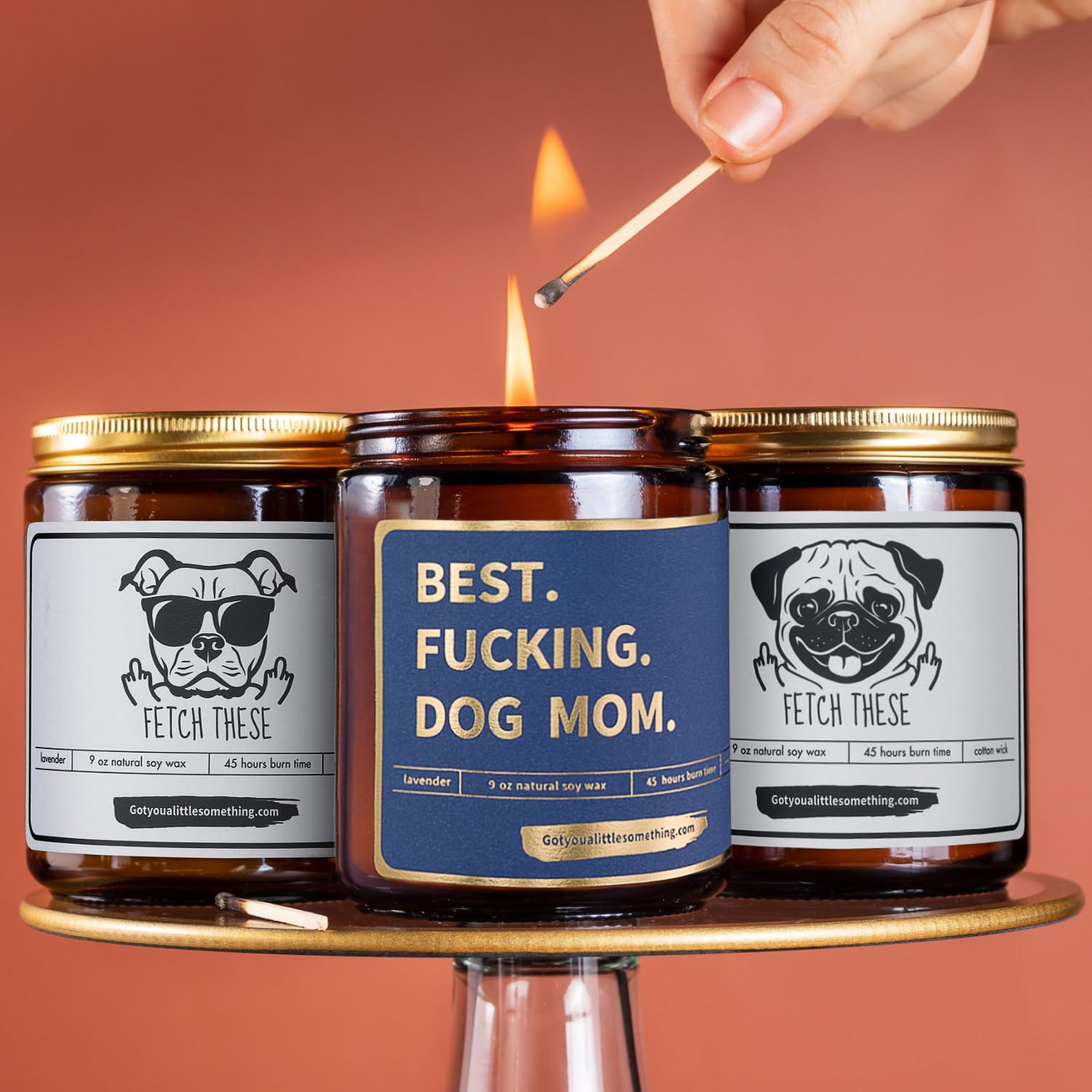 Best Dog Mom, Funny Lavender Vanilla Scented Candle, 100% Soy Wax | Dog Mom Gifts For Women For Birthday | Friendship Present Idea For Animal Pet Lovers | New Puppy Fur Mama Birthday Gift From Dogs