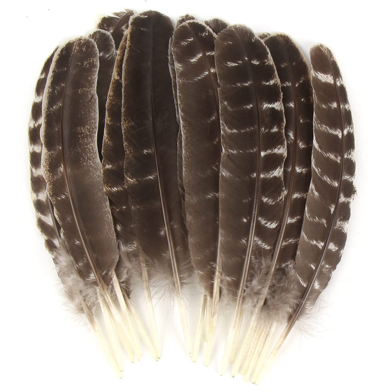 15Pcs Natural Turkey Feather, 10-11 Inches Wild Turkey Feathers For Craft Cost