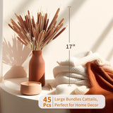 45Pcs Large Natural Brown Cattails Bundles - Dried Flowers Real Cat Tails For Decorating, 17'' Jumbo Cattail Bulrush Plants Floral Stems Artificial Pampas Grass Arrangements Wedding Home Farmhouse
