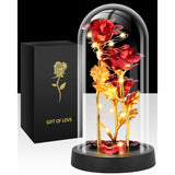 Valentines Day Rose Gifts For Her, Womens Gift For Birthday Gifts For Women Mom Wife Girlfriend, Light Up Rose In A Glass Dome, Rose Gifts For Valentines, Mothers Day, Womens Day (Red)