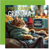 Grandma Birthday Card - Tv Cat - Happy Birthday Card For Grandma From Grandson Granddaughter, 5.7 Inch Cat Celebration Bday Greeting Cards