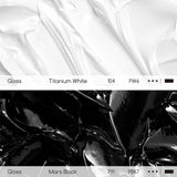 Titanium White Acrylic Paint: 300Ml/ 10Oz Heavy Body Gloss Acrylic Paint - Thick Art Paints For Professional Artists Painting On Canvas