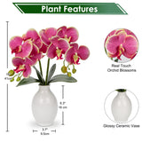 Pink Orchids Artificial Flowers 16'' Faux Orchids In Ceramic Vase Fake Orchid Arrangement For Home Office Room Table Centerpieces Kitchen Elegant Decor Indoor