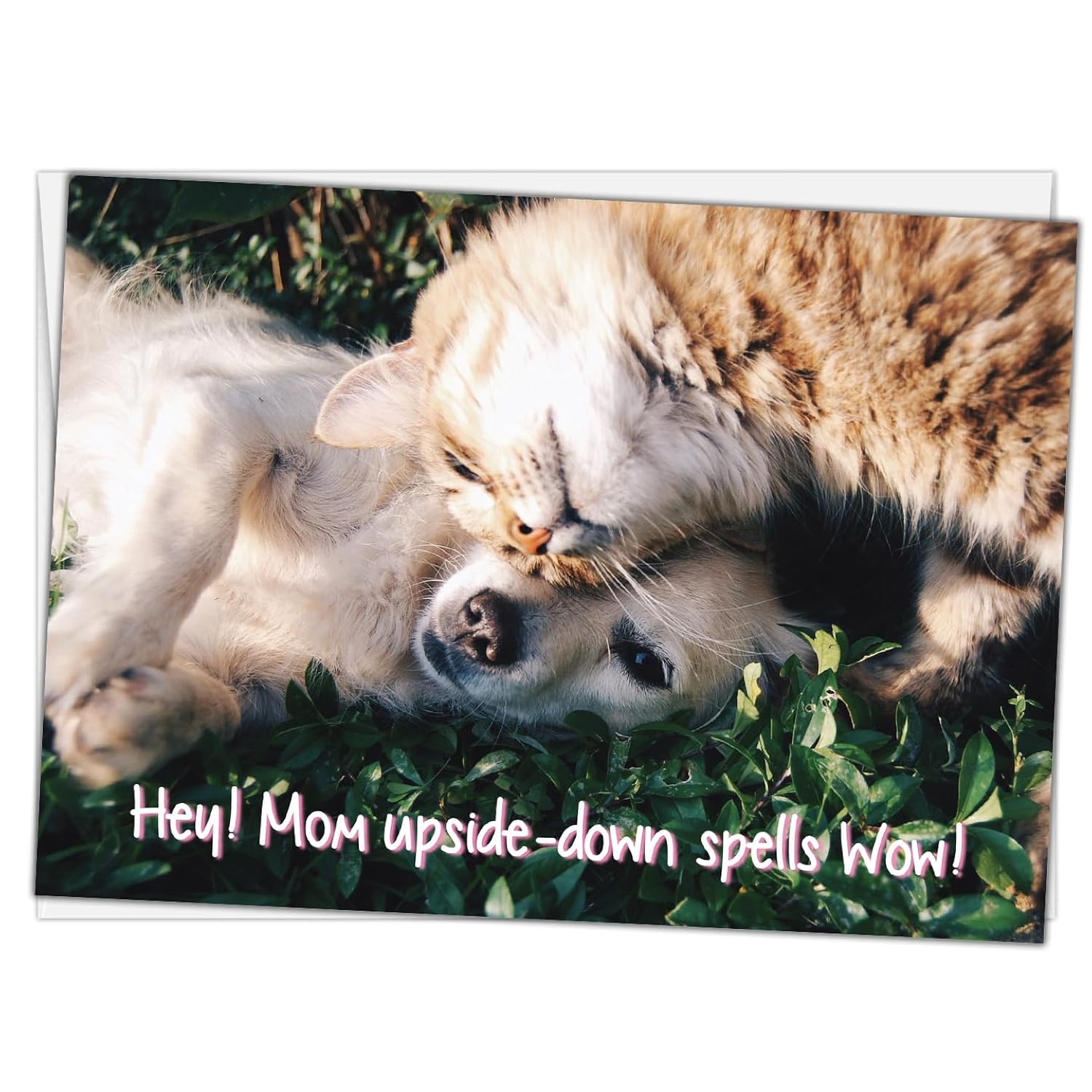 Hey! Mom Upside Down Spells Wow! Up Or Down, You'Re The Best Mother'S Day Greeting Card
