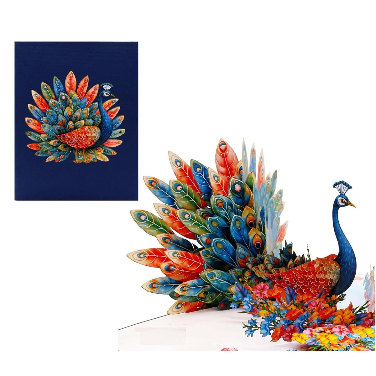 3D Pop Up Greeting Card – Elegant Peacock With Colorful Feathers & Flowers – Unique Card For Birthday, Anniversary, Wedding & Special Occasions, A55
