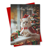 Ragdoll Kitten Christmas Greeting Card – Merry Christmas Cat Card For Pet Lovers, Blank Inside, 5X7” Premium Holiday Card With Red Envelope – Cute Cat Art, Made In Usa By Pet-Friendly Small Business