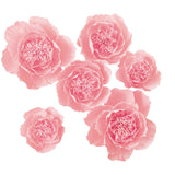 Crepe Paper Flowers Decoration For Wall, Artificial Flowers For Wedding Decor,Flower Backdrop Decor,Baby Shower,Birthday Party, Photo Backdrop, Nursery Wall Decor (Pink;Set/6)