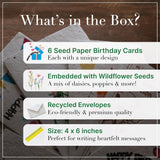 Happy Birthday Card Set - 6 Seed Paper Greeting Cards With Envelopes - 4X6 Inches - Eco-Friendly Wildflower Birthday Postcards - Biodegradable Birthday Card Pack