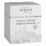 - Scented Candle - Holiday Collection - 4 Inches Height, 3.25 Inches Diameter - 8.4 Ounces - 240 Grams (Pumpkin Spice)