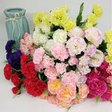 Ieoyoubei 4 Bunches Bouquet Of Artificial Silk Flower Creamy-White Carnations11 Inch Bouquet And Green Leaf For Home Decoration Bridal Wedding Festival Decoration With 10 Per Bunch Flower