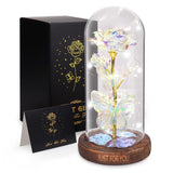 Valentines Day Gifts For Her, Light Up Rose Butterfly In Glass Dome, Birthday Anniversary Flowers Lighted Roses Gifts For Women,Wife,Mom, Grandma,Girlfriend,Girls,Sister-Silver