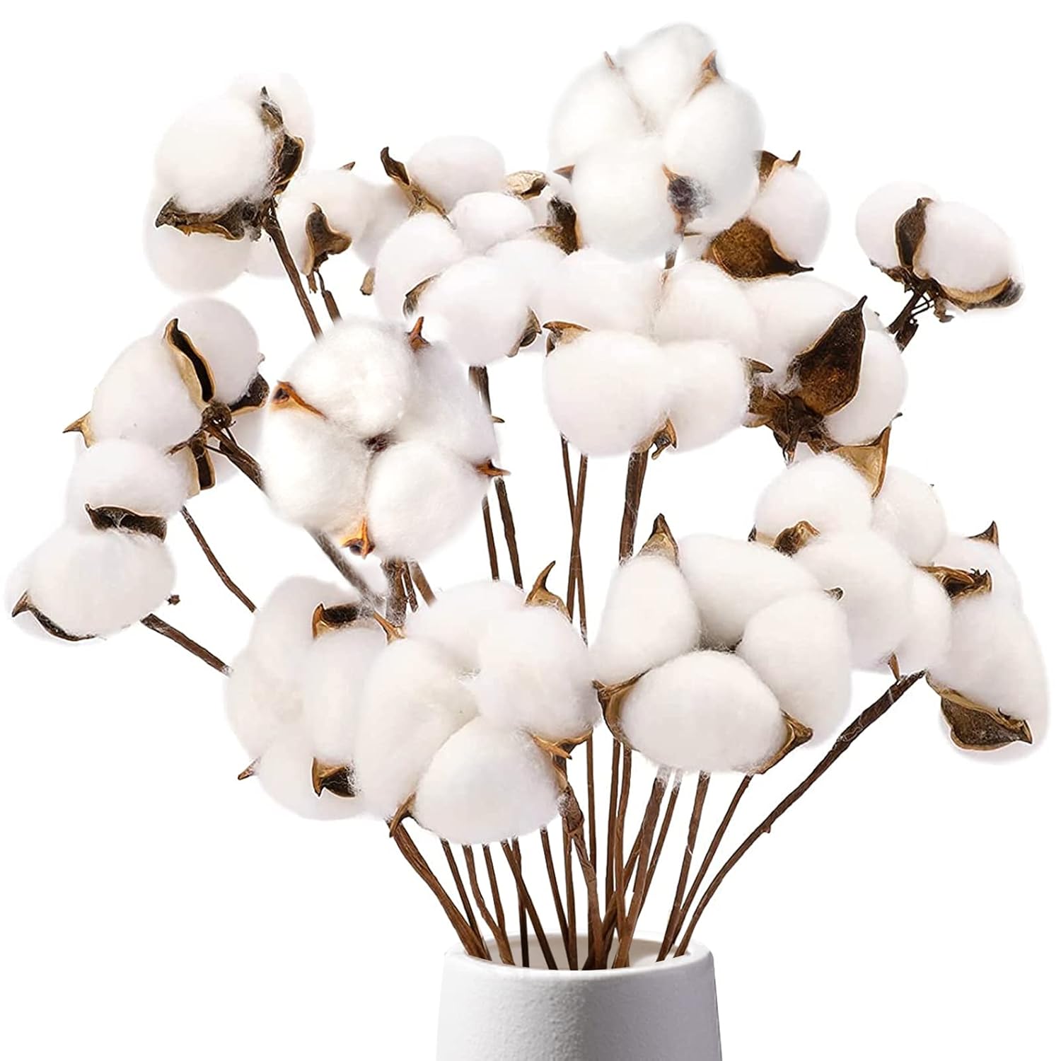 Cotton Stems 8 Packs With 15 Bolls, Natural Dried Flowers Cotton Sprigs For Vase Fillers And Floral Arrangements - Fall Decorations And Diy Crafts