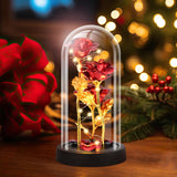 Valentines Day Rose Gifts For Her, Womens Gift For Birthday Gifts For Women Mom Wife Girlfriend, Light Up Rose In A Glass Dome, Rose Gifts For Valentines, Mothers Day, Womens Day (Red)