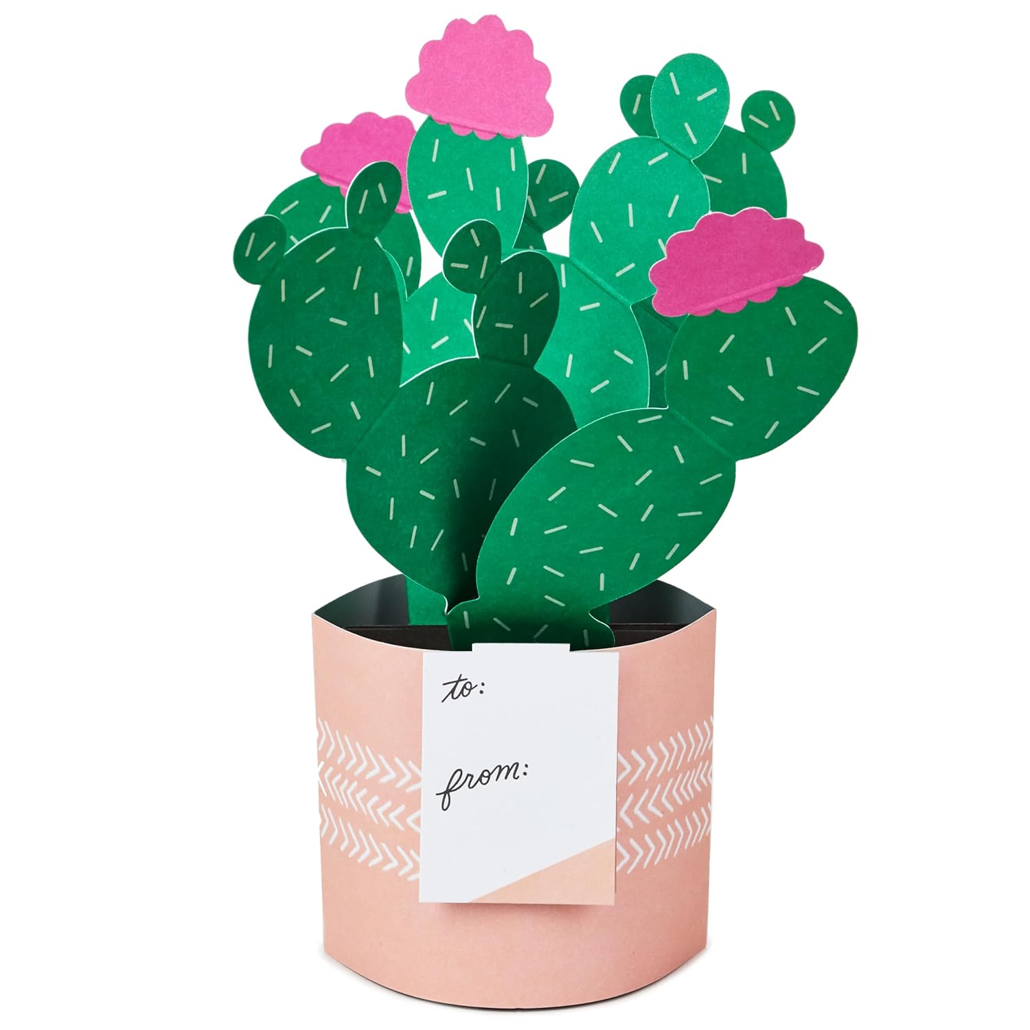 Hallmark Paper Wonder Mother's Day Pop Up Card (Potted Cactus) for Birthday, Thinking of You, Congrats, Get Well, Appreciation, Any Occasion