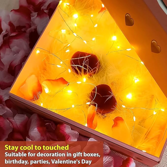 6 Pack Battery Operated Fairy Lights 7FT 20 LED Warm White Mini Firefly String Lights for Mason Jars Wedding Party Christmas Decor
