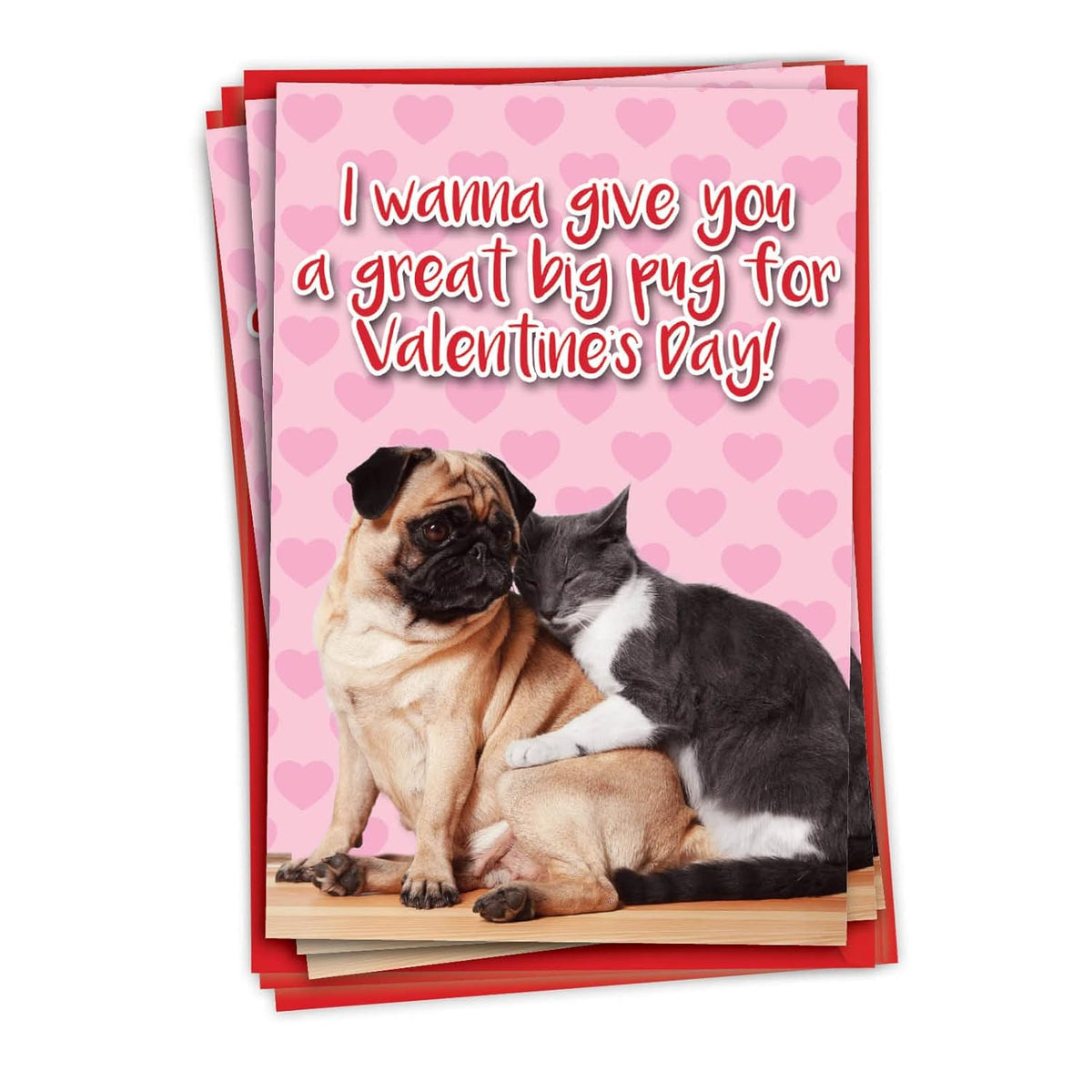- Pack Of 3 Humorous Valentine'S Day Greeting Cards With Envelopes, Funny Pet Cat And Dog For Men And Women Couples (1 Designs, 3 Each) - Great Big Pug C6758Vdg-C3X1