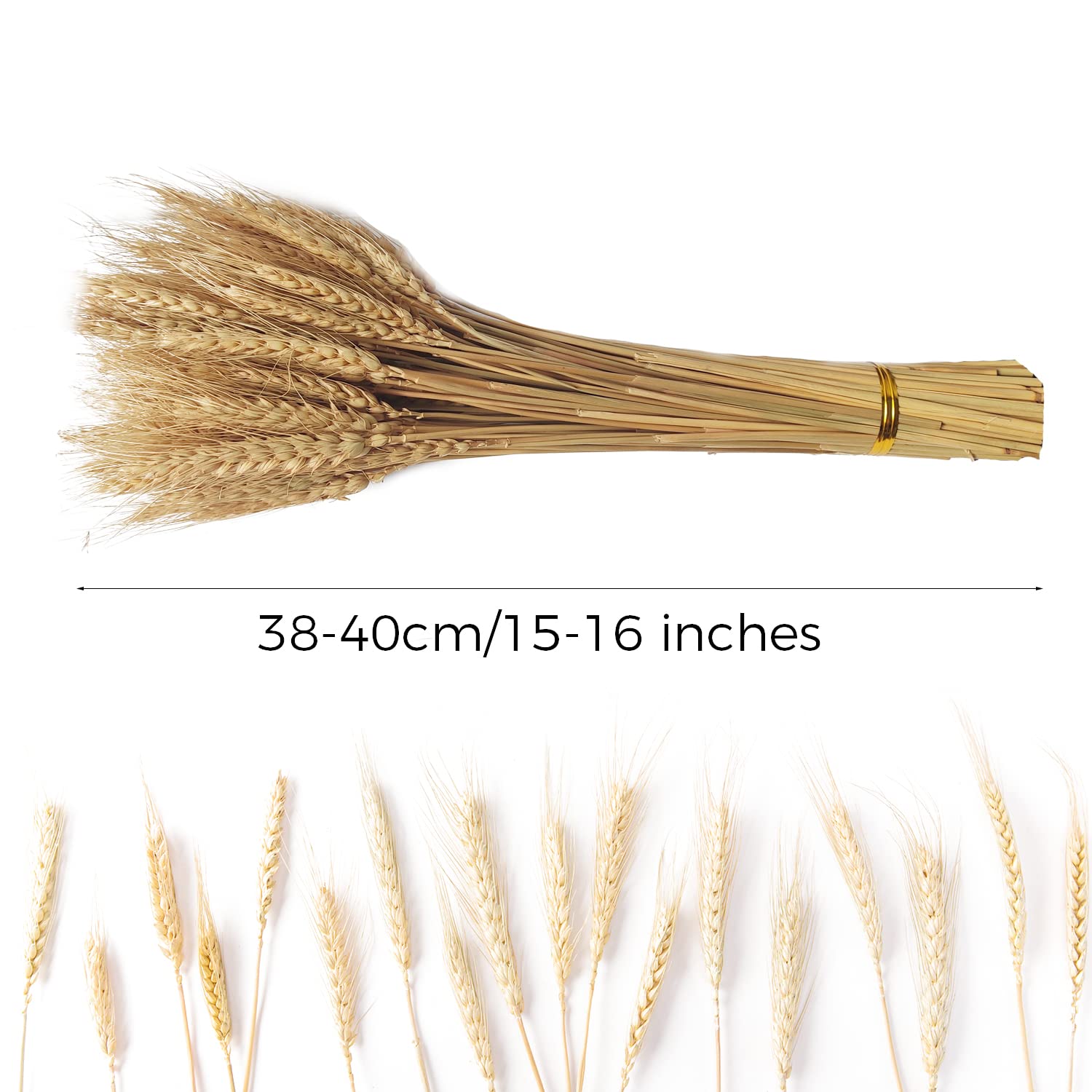 100 Stems Dried Wheat Stalks Natural Wheat Bundle For Home Decor, Crafts