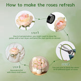 18Pcs Champagne Roses Artificial Flowers, Fake Roses Silk Flowers With Stems Realistic Bouquet For Valentine'S Day Wedding Party Home Decoration Diy Centerpiece Floral Romantic Gifts
