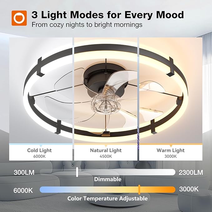 24 Inch Ceiling Fan with Light and Remote Low Profile Dimmable LED Fandelier