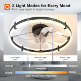 24 Inch Ceiling Fan with Light and Remote Low Profile Dimmable LED Fandelier
