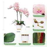 Orchids Artificial Flowers Real Touch Fake Flowers In Ceramic Pot 20" Pink Faux Orchid Plant Lifelike Silk Phalaenopsis For Centerpiece Hotel Home Indoor Decor