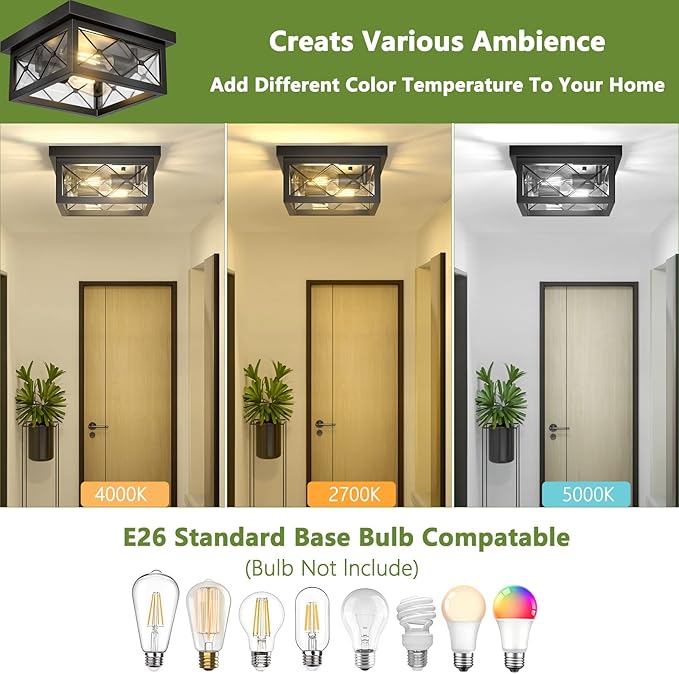 2 Light Farmhouse Flush Mount Ceiling Light Black Metal Cage with Clear Glass