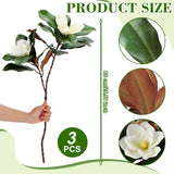 3 Pcs Artificial Magnolia Branches 25.6 Inches White Magnolia Leaves Stem Flowers Faux Greenery For Indoor Outdoor Home Bathroom Table Vase Farmhouse Wedding Decor
