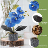 Artificial Orchid With Cement Vase Fake Phalaenopsis Flower Arrangement Faux Plants For Party Exhibition Center Home Decoration(Blue Tall 15")