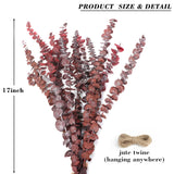 20Pcs Dried Red Eucalyptus Stems 17" Natural Fresh Eucalyptus Plant For Shower Hanging, Wedding Decor Home Decor Farmhouse Decor Diy Spring Decor,Green