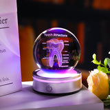 Tooth Model 3D Crystal Ball Dental Gifts For Women Men, Dentist Hygienist Present Office Decor With Led Base, Laser Etched Figurine Tooth Gift For Dental Student On Graduation Christmas