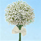 10Pcs Baby Breath Artificial Flowers Bulk,White Artificial Flowers Real Touch Artificial Baby Breath Gypsophila Flowers For Home Party Wedding Garden Decor