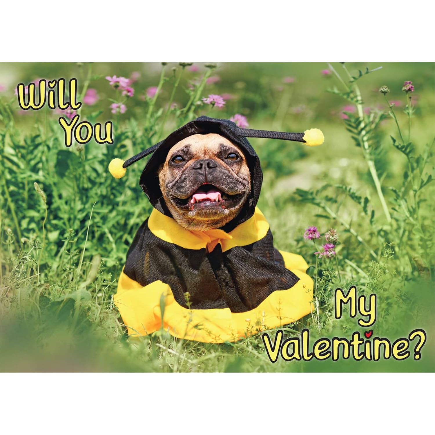 Will You (Bee) My Valentine Greeting Card Featuring A French Bulldog In A Bee Costume With Mailing Envelope