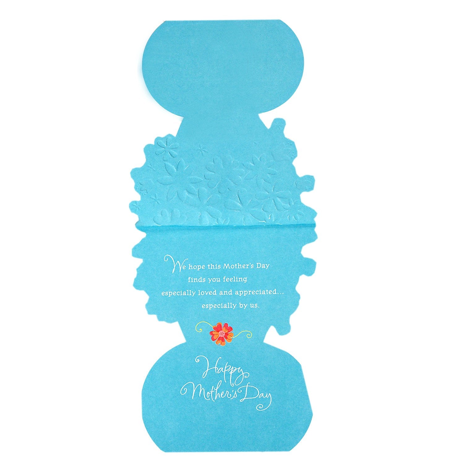 Hallmark Mother's Day Card from All (Loved and Appreciated) (0529MBC9405)