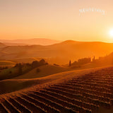 5.5 oz Pack Candle Bars - TUSCAN SKY by McCall's Country Canning