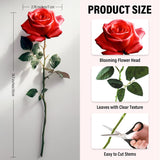 20Pcs Artificial Roses With Long Stems - Realistic Silk Flowers, Fake Roses Real Touch Bouquet Of Roses For Valentine'S Day, Home Decor, Bridal Wedding Party, Bulk Faux Rose Flowers (White Red)