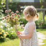 Glorpiant 5Pcs Pompom Artificial Mums, Faux Silk Bulk Flowers With Bendable Stems For Diy Fall Decor, Pottery Barn Style Vase Fillers, Indoor Outdoor Home Centerpieces In Burnt Orange (Light Taupe)
