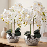 2 Pack Orchids Artificial Flowers 24" White Faux Phalaenopsis With Ceramic Pot, Real Touch Faux Silk Orchid Plant For Table Centerpieces Home Office Living Room Weeding Decoration