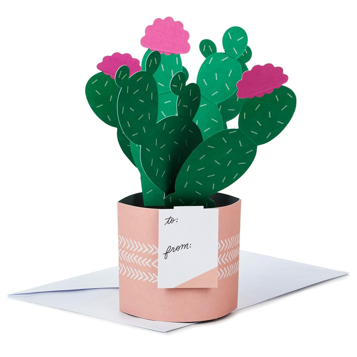 Hallmark Paper Wonder Mother's Day Pop Up Card (Potted Cactus) for Birthday, Thinking of You, Congrats, Get Well, Appreciation, Any Occasion
