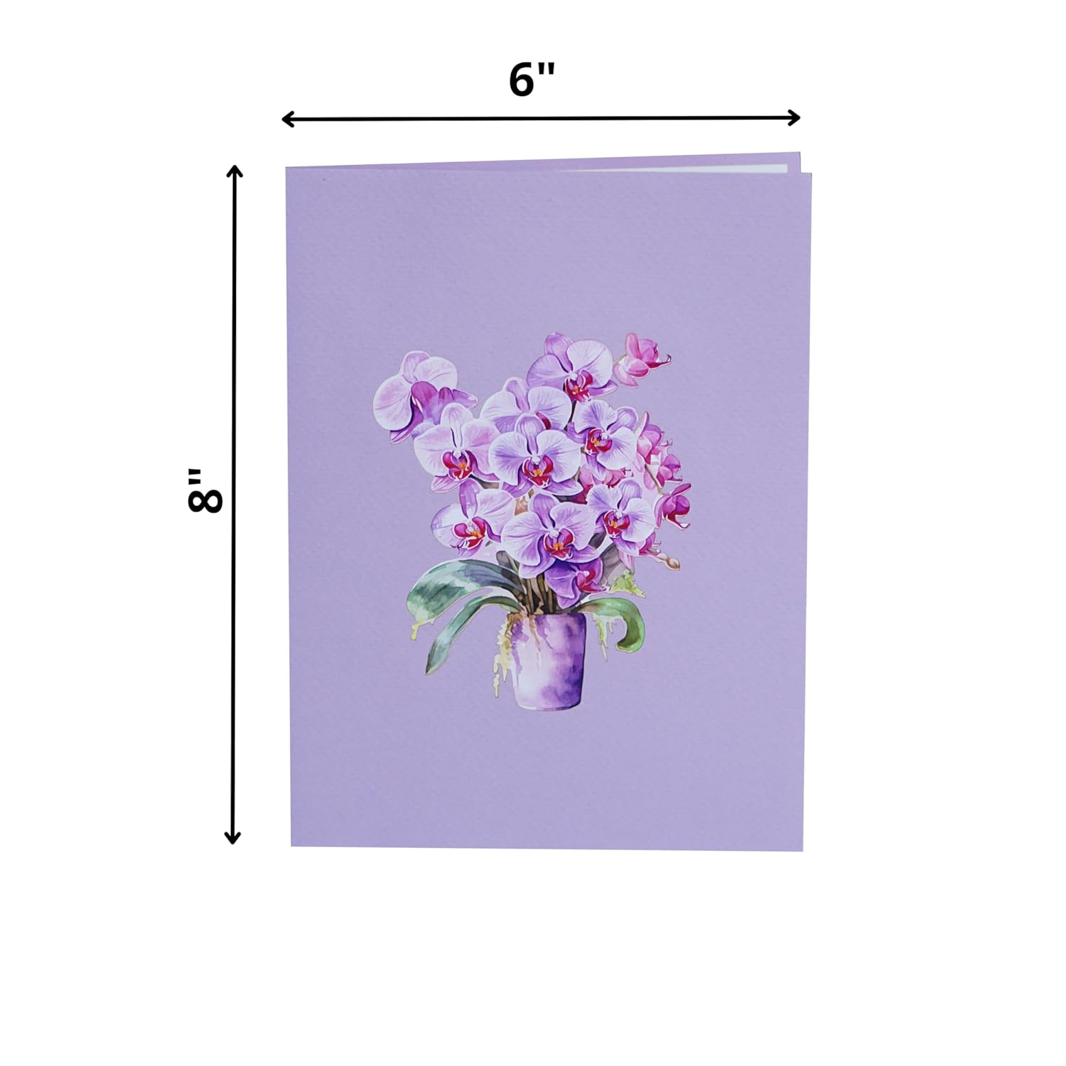 Orchid 3D Birthday Cards For Women, Mothers Day Cards, 6X8In Pop Up Gift Card For Mom, Wife, Her, Daughter, Sister, Grandma (Orchid Blossom 6X8).
