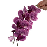 5 Pcs Artificial Orchid Flowers And 2 Bundles Leaves,Artificial Phalaenopsis Flowers 32 Inch Stem Plants For Home Wedding Decoration (Purple Spots)