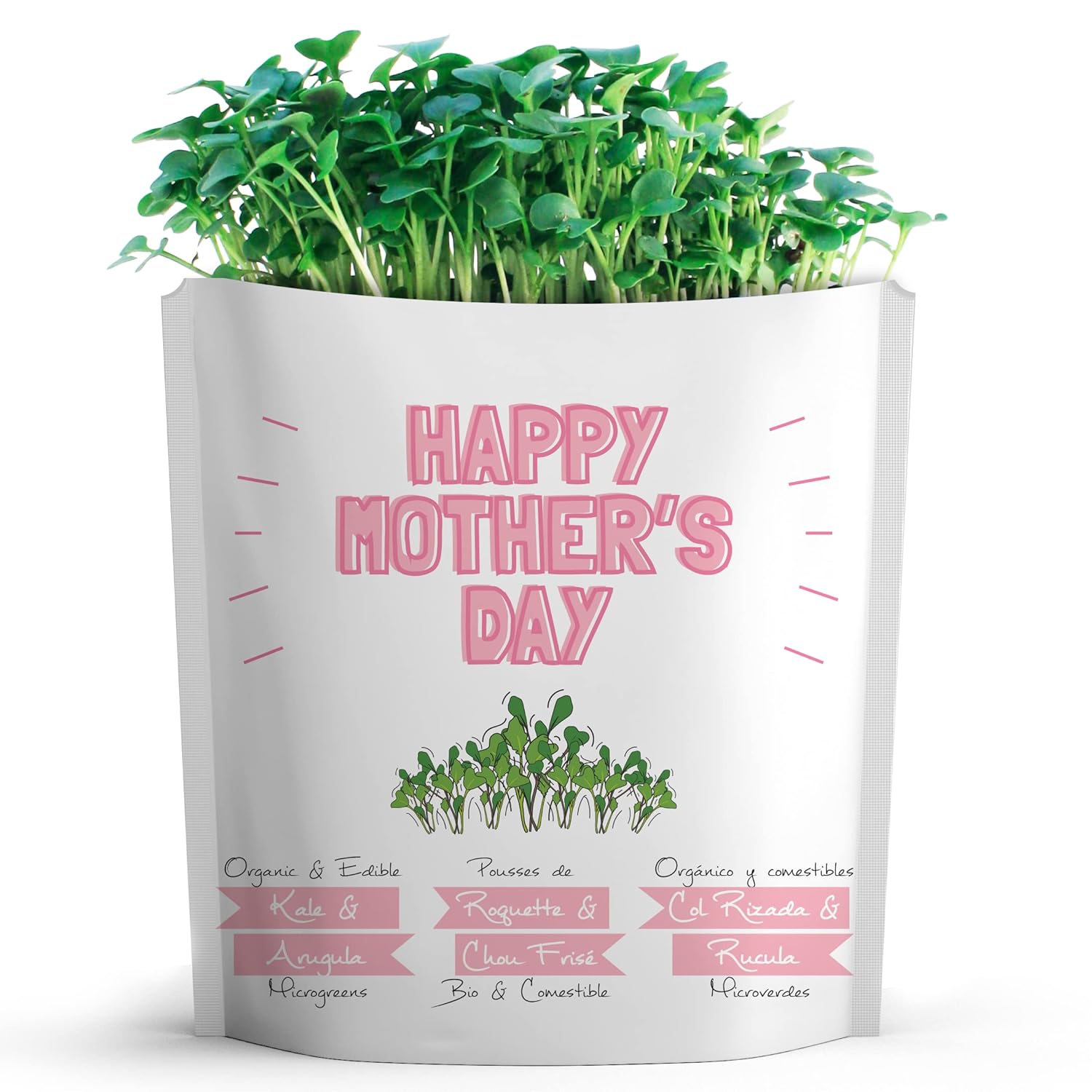 Mother'S Day Card | Greeting Card Greeting Cards With Organic Microgreens! Just Like A Post Card, Simply Mail And Recipient Gets To Grow & Eat | Cards For All Occasions | 1 Pack