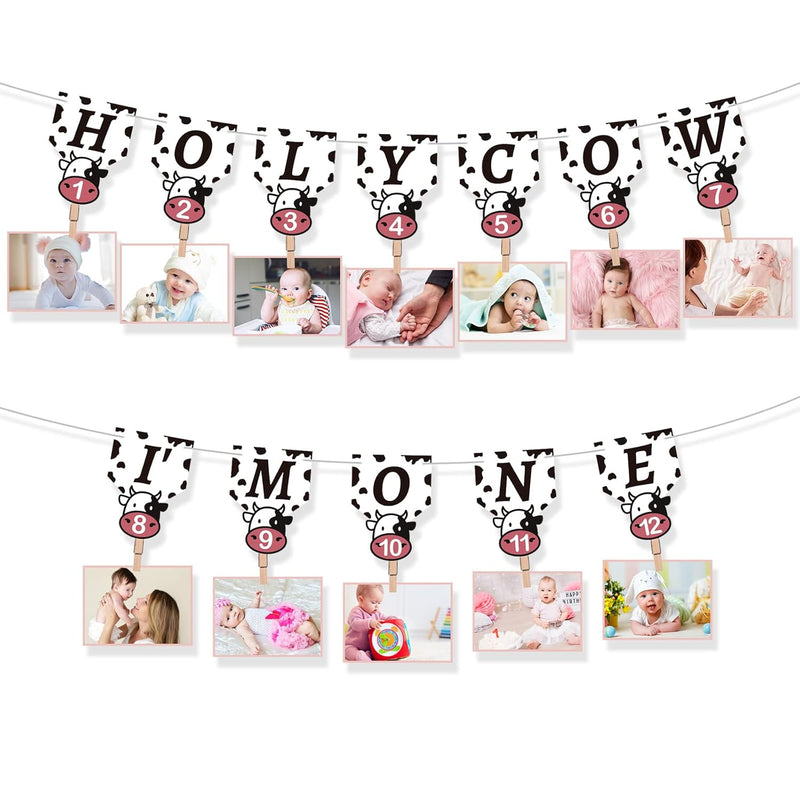 Cow 12 Month Photo Banner Holy Cow Im One Birthday Decorations Cow Bir