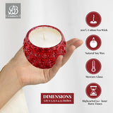 Illumination Sparkling Cranberry Scented Hand Poured Artisan Candle, 9Oz, 60+ Hours Burn Time (Red Jar)