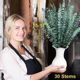 Bulk Package 30 Pcs Real Dried Eucalyptus Plant Large Stems For Shower, Natural Fresh Eucalyptus Leaves,17'' Hanging For Self-Care Shower Leave Bundle, Arrangement, Wedding, Home Decor
